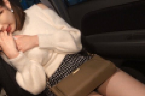 奥州市のカーセックススポット